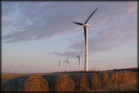 A windmill farm